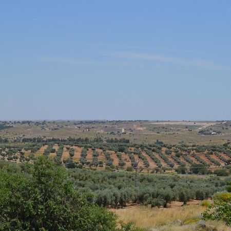 Casa Rural La Finca Guadamur Dış mekan fotoğraf